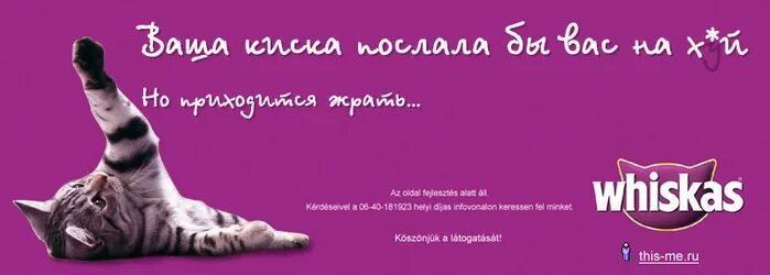 Ваша купила бы вискас. Слоган вискас. рекламный слоган вискас. ваша киска купила бы вискас. рекламный слоган whiskas.