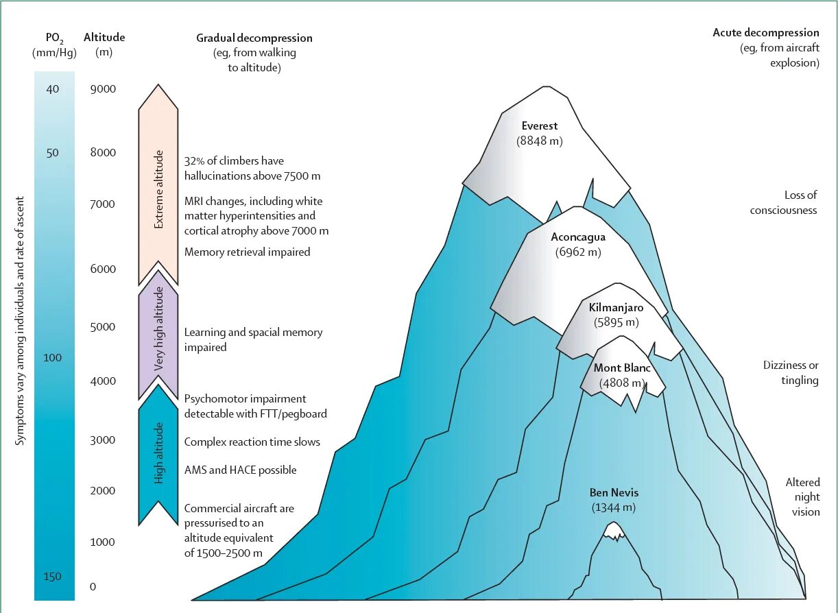 Уровень кислорода на высоте 4000 метров. Высота Эвереста схема. Уровень кислорода на высоте 2000. Самые высокие горы схема. Высота воды горный