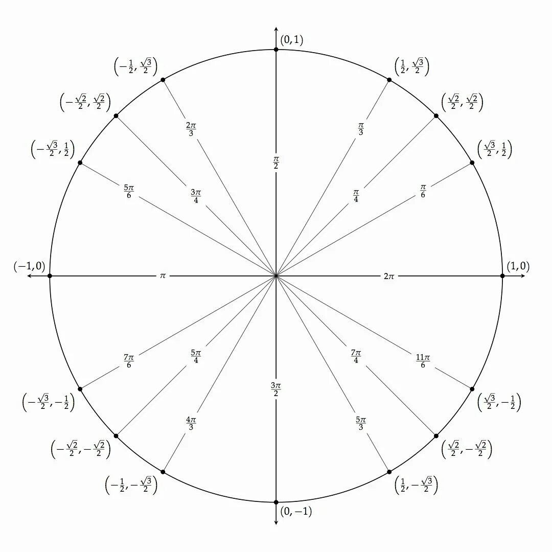 П 5 на окружности. Единичная окружность тригонометрия 10 класс. Числовая окружность с градусами. Окружность единичного радиуса. Числовая окружность чистая.