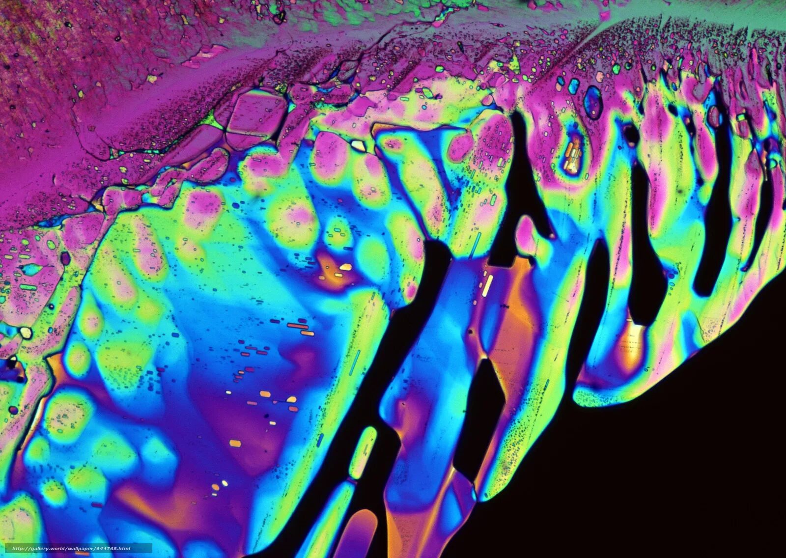 Под микроскопом. Кристаллы под микроскопом. Нефть под микроскопом. Краска под микроскопом.