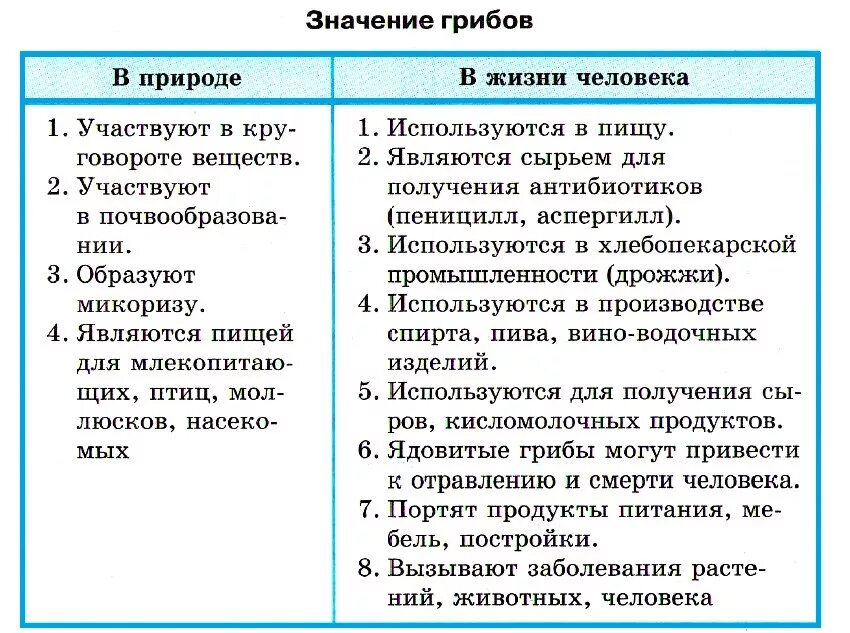 Заполните таблицу значение грибов Съедобные и ядовитые грибы