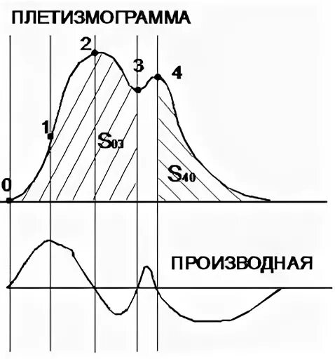 Два максимума. Два максимума