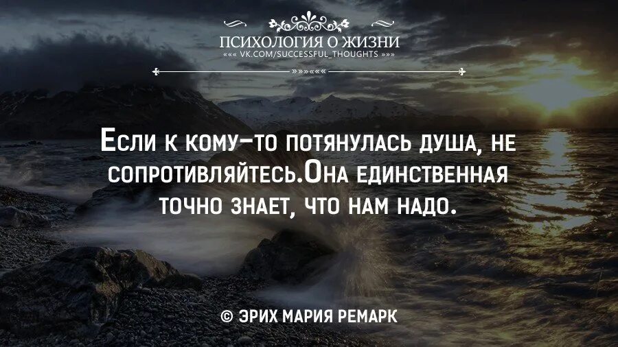 Психология жизни. Афоризмы про Притяжение. Цитаты про душу. Мудрые мысли о притяжении. Высказывания про душу