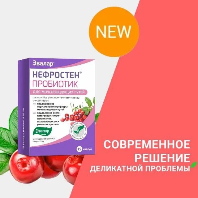 №15 капс. нефростен пробиотик инструкция. нефростен пробиотик инструкция. эвалар цистита нефростен. нефростен таб.