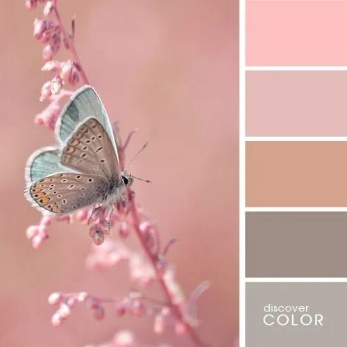 Сочетание цветов розовый бежевый Color Palette #3779 Розовые цветовые схемы, Цвета для шкафа, Цветовые схемы