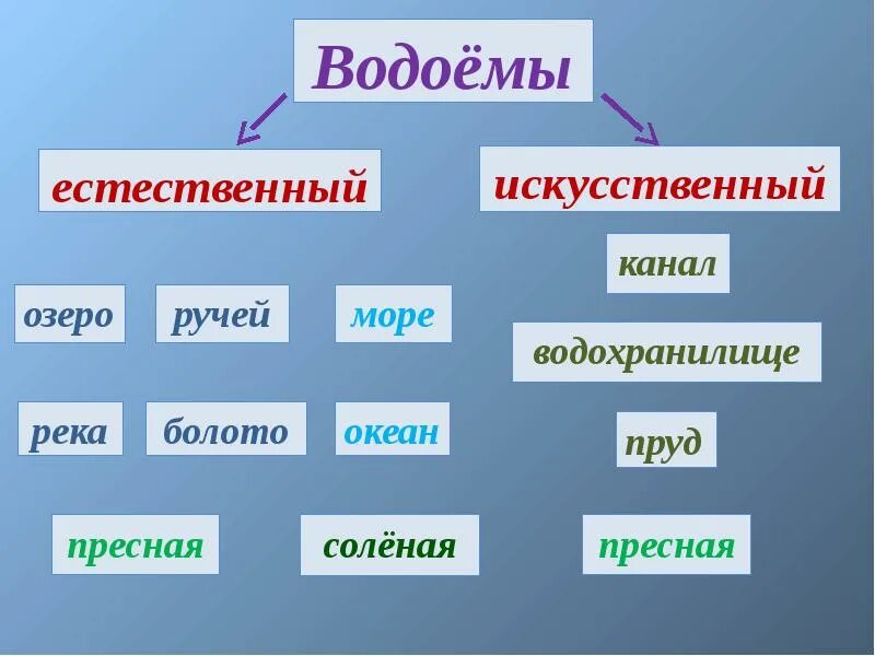 Водоем конспекты занятий. Виды водоемов. Классификация водоемов. Виды водоемов 2 класс. Виды водоёмов 3 класс.