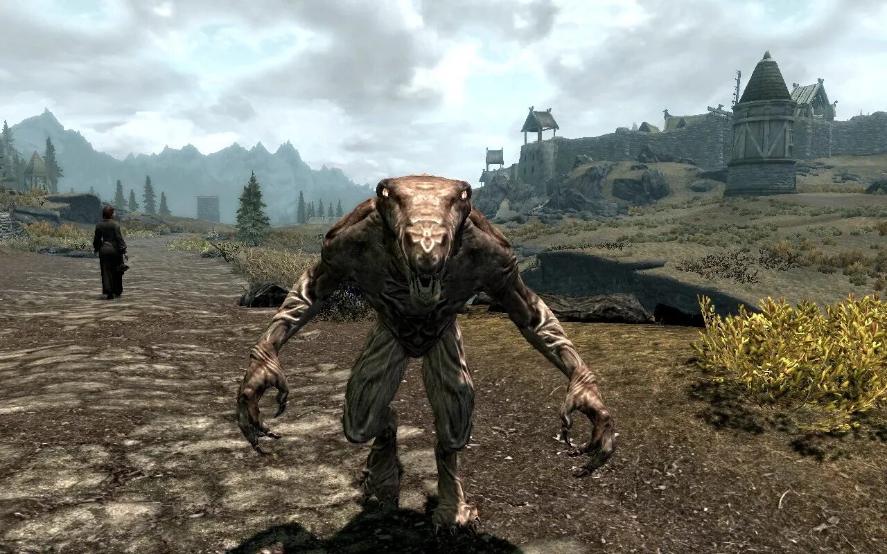 Skyrim мод immersive