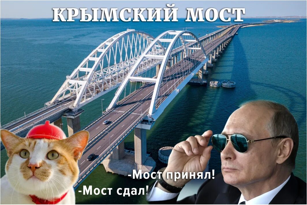 Кот мостик Крымский мост. Символ Крымского моста кот мостик. Крымский (Керченский) мост.