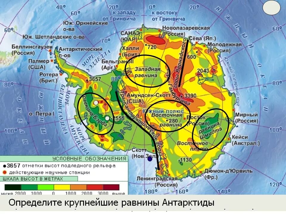 Карта рельефа Антарктиды. Подледный рельеф Антарктиды карта. Антарктида карта основные формы рельефа. Антарктида гора трансантарктические горы на карте Антарктида.
