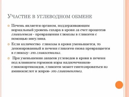 Печень участвует в обмене