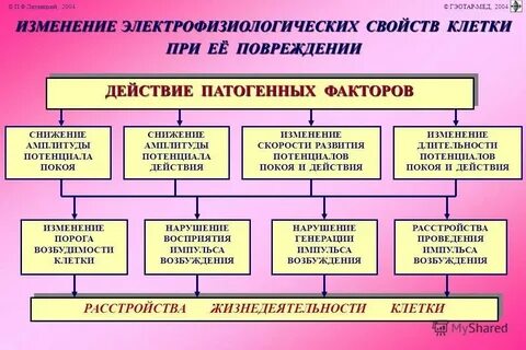 Патогенные факторы вирусов