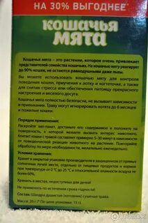 С какого возраста котенку можно кошачью мяту