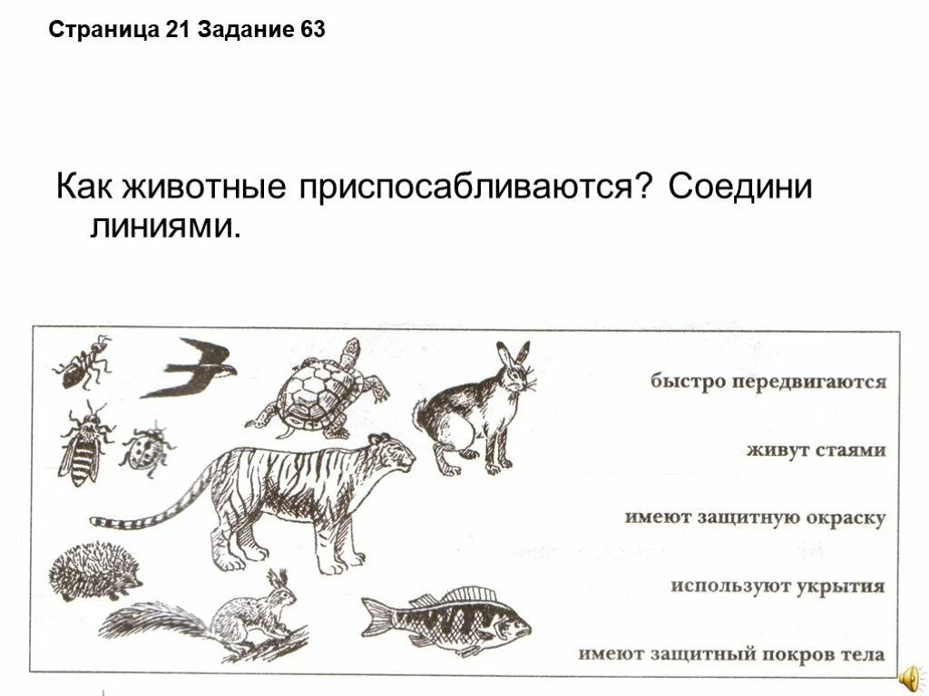 Задания по теме среда обитания. Как животные приспосабливаются Соедини линиями. Как животные приспосабливаются к среде обитания 3 класс. Как животные приспосабливаются к условиям жизни. Защитные приспособления у животных.