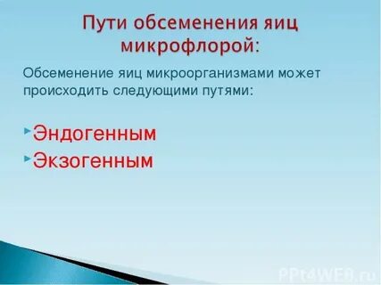 Обсеменение это в медицине