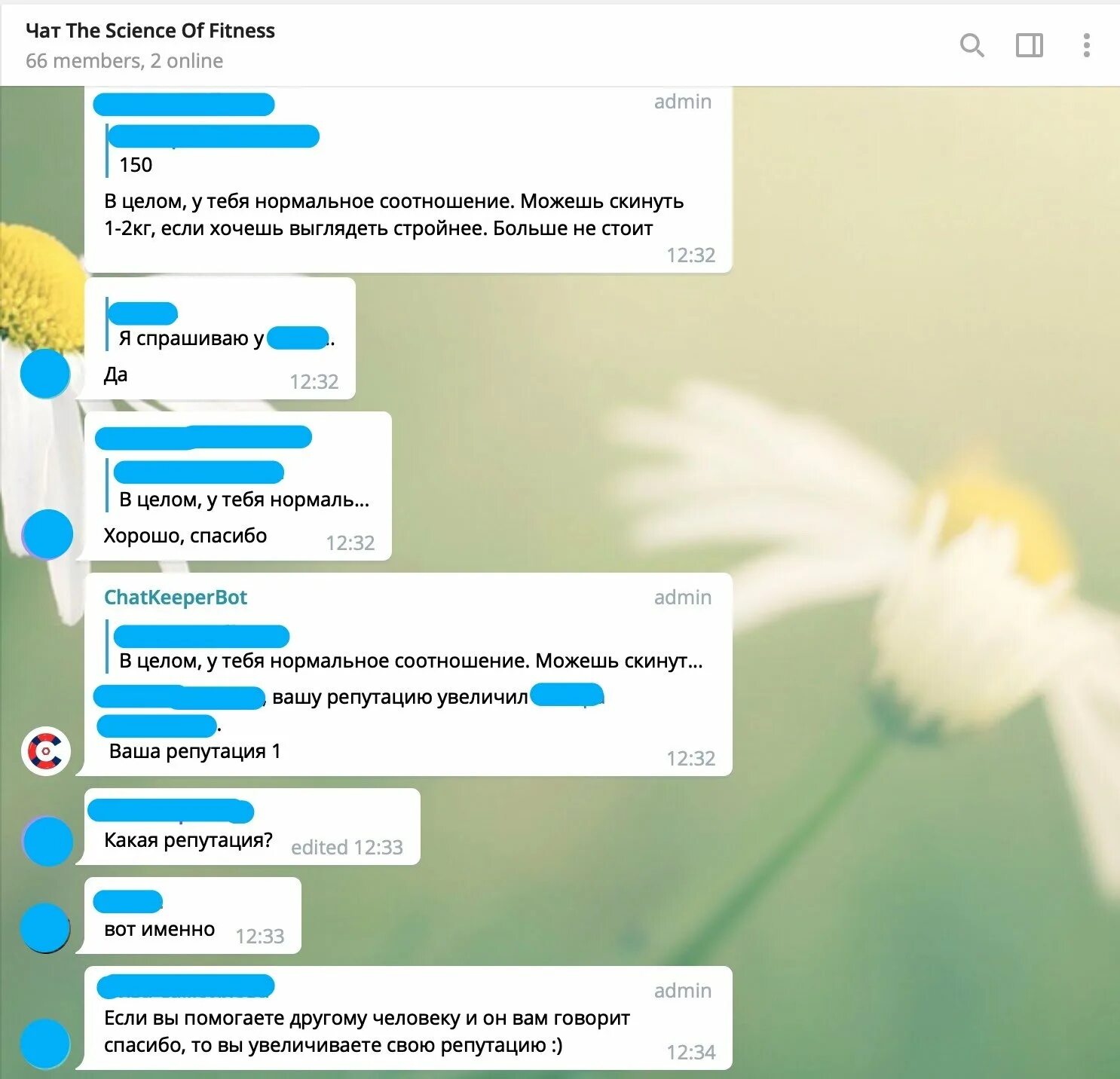 Чат. Телеграмм чат. Чат чат. Групповой чат в телеграмме. Btsnewru telegram