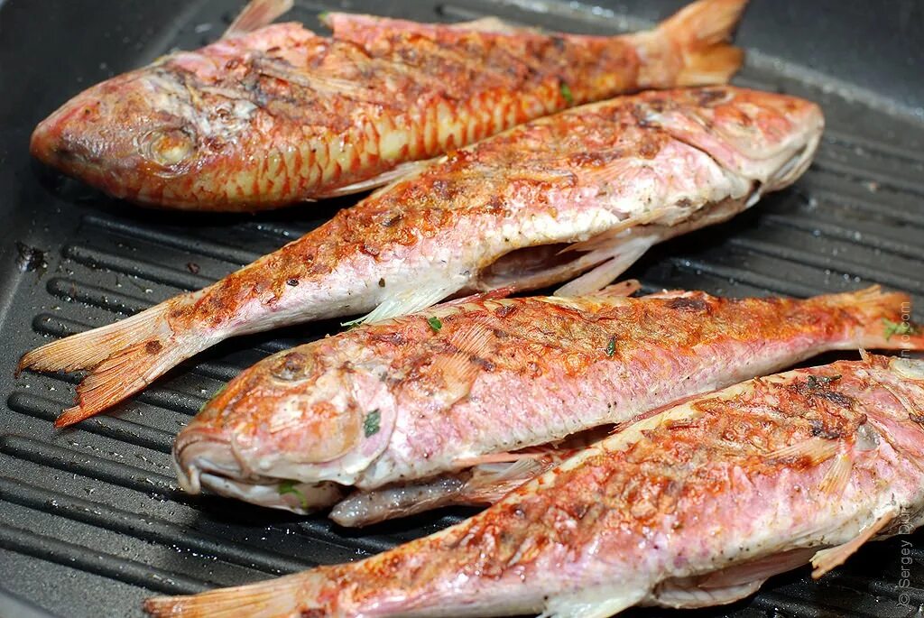 барабулька султанка черноморская. барабулька вкусная. барабулька рыба жареная. барабулька вкусная. барабуля черноморская жареная.