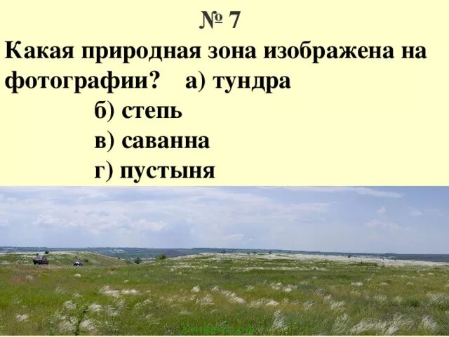 Сходства и различия между степью и тундрой. Какая природная зона изображена. Какая природная зона изображена на фотографии?. Тундра степь пустыня. Природные зоны тундра степь Саванна.