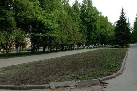 Московская улица в новомосковске