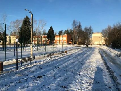 Поселок селекция новости