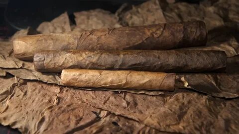 Cigars tobacco