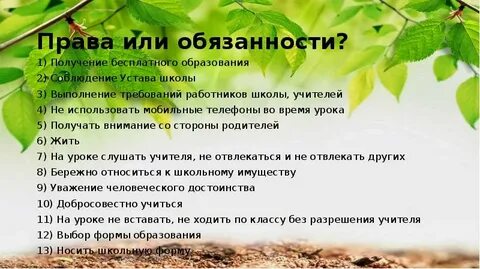 Обязанности 1 класса