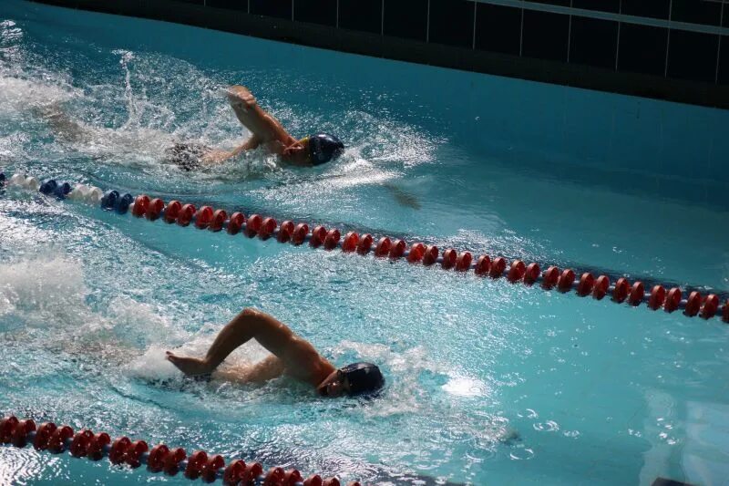 Swimming красноярск. Swimming красноярск. Swimming красноярск. Бассейн сибирь красноярск. Бассейн дельфин хабаровск.
