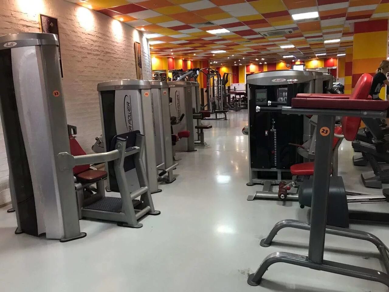 Джим джим на киевской. Dar fit алматы. Good gym реутов тц шоколад. Гуд джим новороссийск. Гуджим новороссийск.