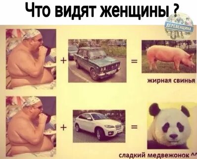 Сладкий медведь