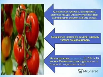 Душтағы жас студент қыздар (барлық бейнелер)