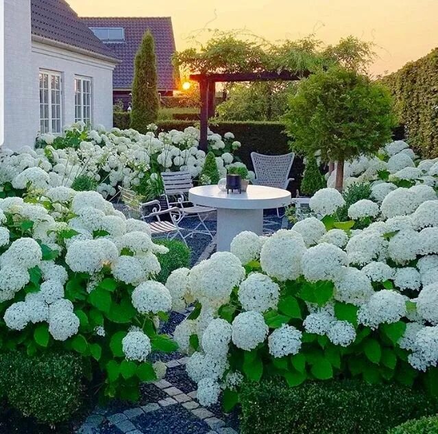 Tone on Tone Gartenumgestaltung, Cottage-garten-design, Blumen anbauen