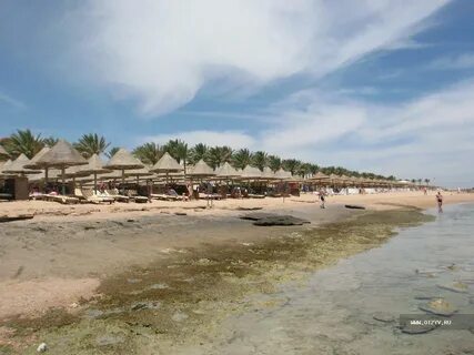 Grand plaza 5 отзывы