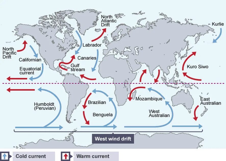 Западные берега теплые и холодные течения. Карта холодных течений мирового океана. Теплые и холодные течения мирового океана. Тёплые и холодные течения на карте мирового океана. Тёплые течения мирового океана на карте.