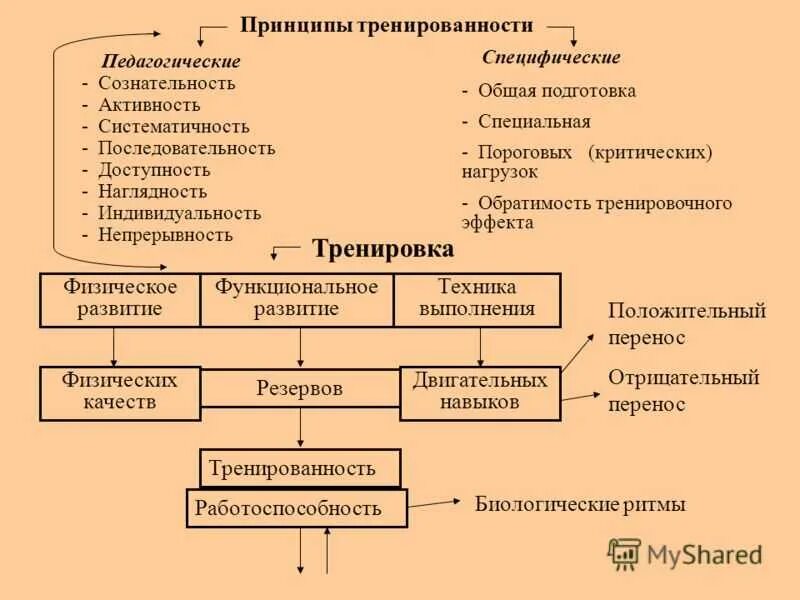 Формы тренированности. Специальные принципы спортивной тренировки. Общие и специальные принципы подготовки спортсмена. Принципы тренировочного процесса. Специфические принципы спортивной подготовки.