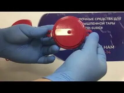 Километр 2 пломбировать 3 наделит 4 сливовый