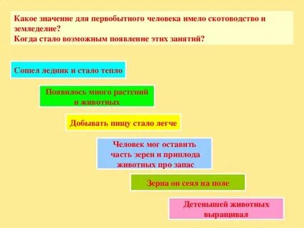 Урок возникновения земледелия и скотоводства