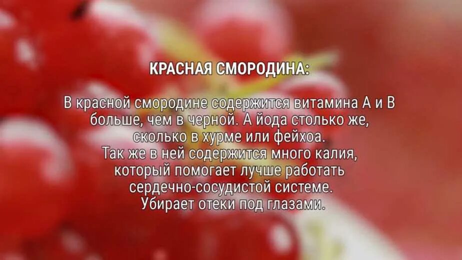 Можно есть красную. Витамины в красной смородине. Красная смородина витамины. Какие витамины в красной смородине. В красной смородине содержится витамин с.