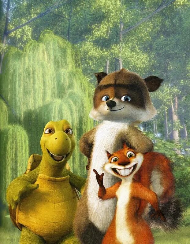 Черепаха белка. Черепаха белка