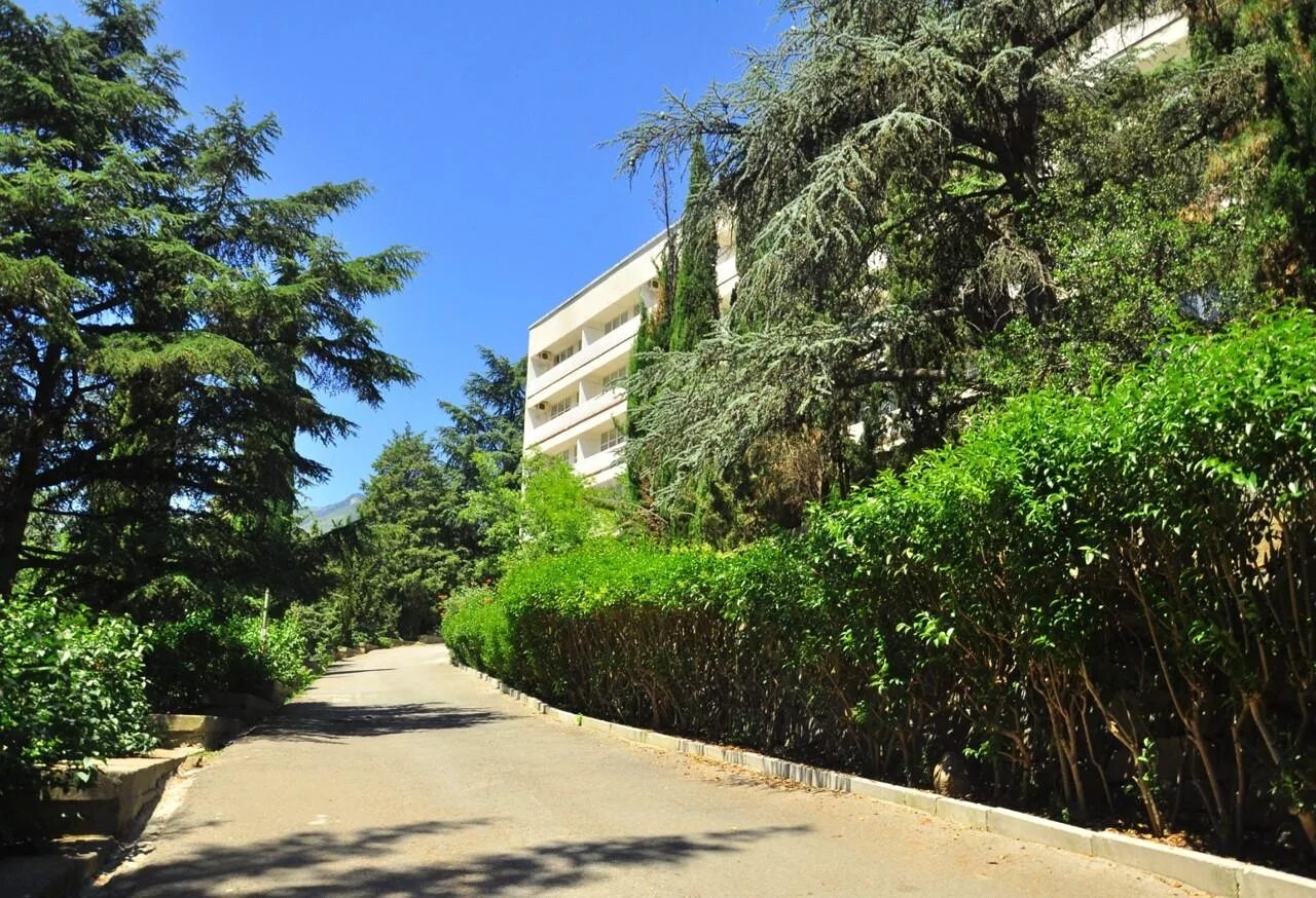 Ялта леси украинки 16. Ялта сок руссия санаторий. Санаторий горняк ялта. Ялта леси украинки 16. Ялта пансионат сайт.