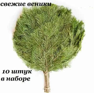 Пихтовый веник польза