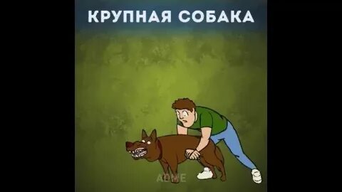 Собака подавилась