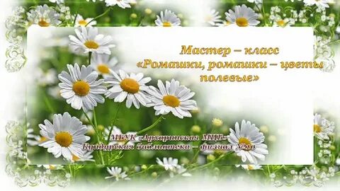 Песня 1 полевой