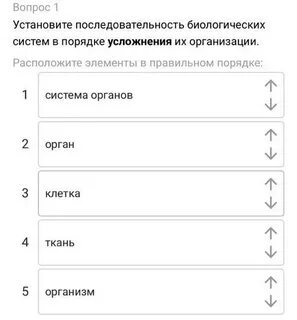 Последовательность элементов биологических систем