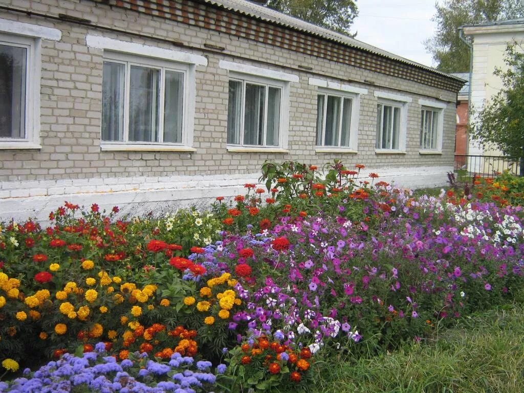 Кожевниково школа. Дтю томск. кожевниково томская область. дом детского творчества чульман.