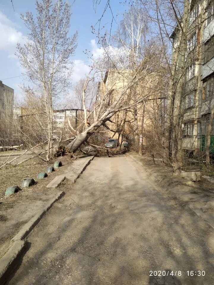 Майская 12 Жасминный Саратов. Жасминный поселок Саратов. Саратов пос Жасминка. Саратов Жасминный улица Майская.