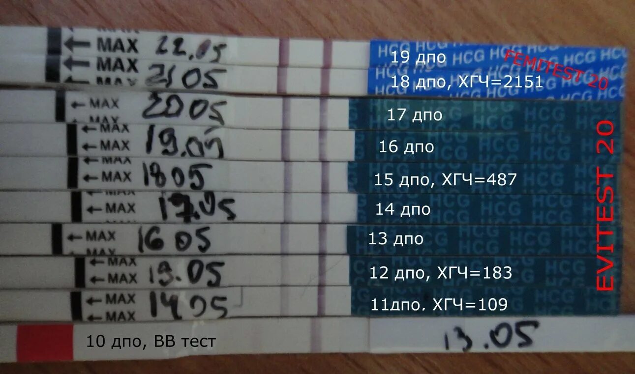 Признаки после овуляции форум. Динамика тестов на беременность. Динамика тестов по ДПО. Тест после ДПО. Тесты по ДПО С ХГЧ.