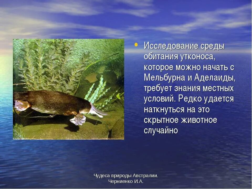 Редко удается