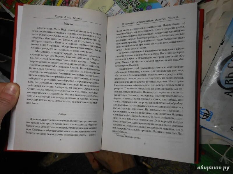 Кратчайшее содержание борхес. Кратчайшее содержание борхес