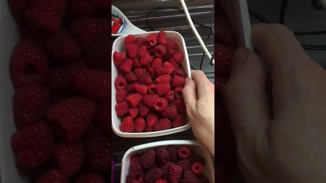 Малина поклон казакову фото Малина ремонтантная Поклон купить саженцы по выгодной цене 276 р. популярные