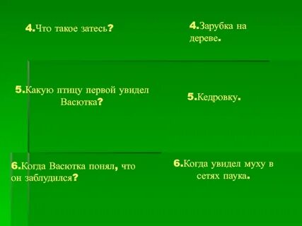 Значение слова затеси