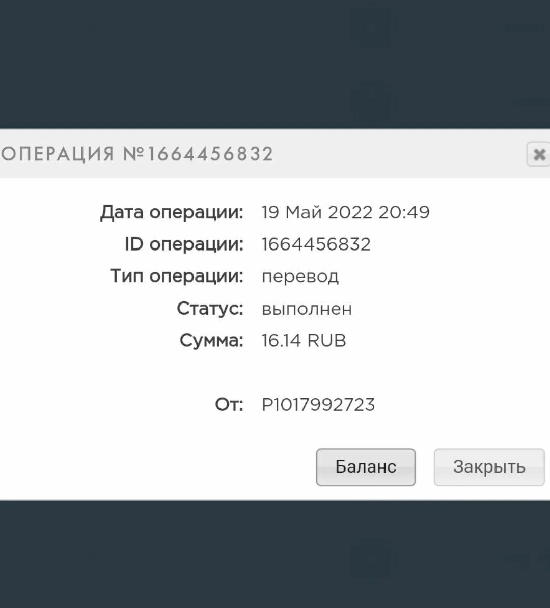 Телеграм бизнес. Zennolab крякнутый. Пассивы телеграмм. Zennoposter. Travis connor malik delgaty.